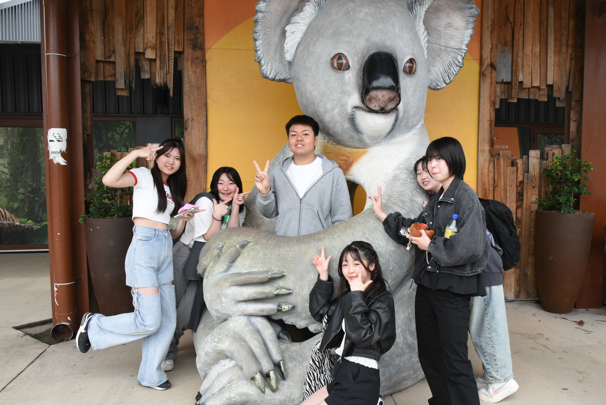 団員らはバサースト市を後にし、世界遺産ブルーマウンテンや動物園を見学しました。