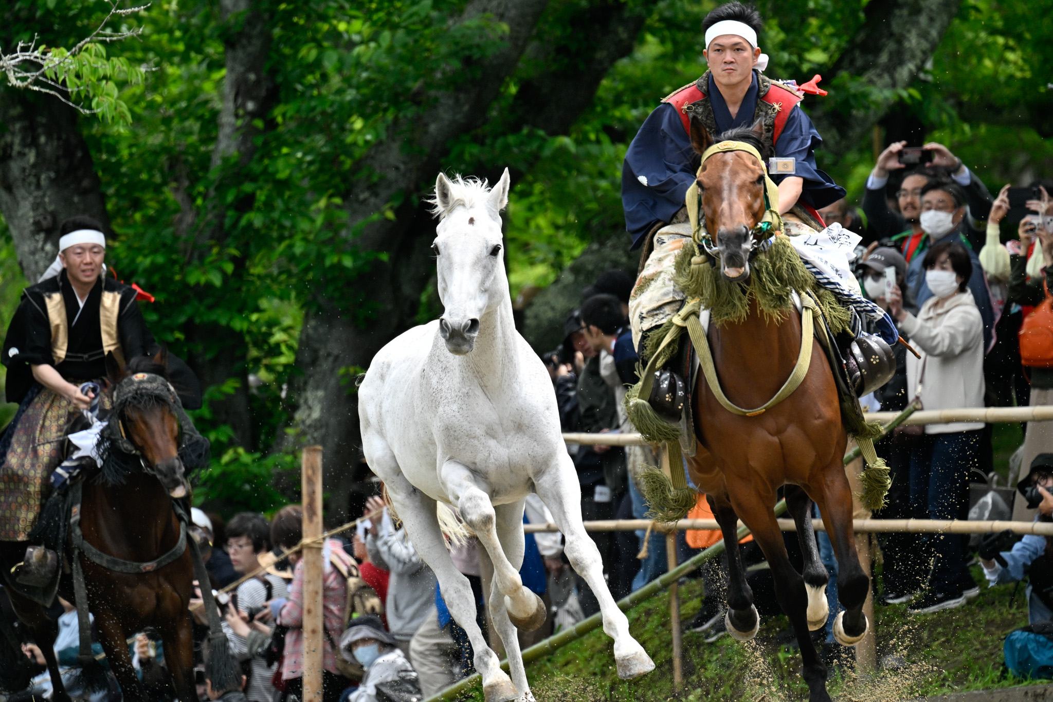 相馬野馬追最終日、騎馬武者が裸馬を竹矢来に追い込む神事が行われました。白装束の御小人が荒駒を捕らえ、神前に奉納する伝統の儀式です。