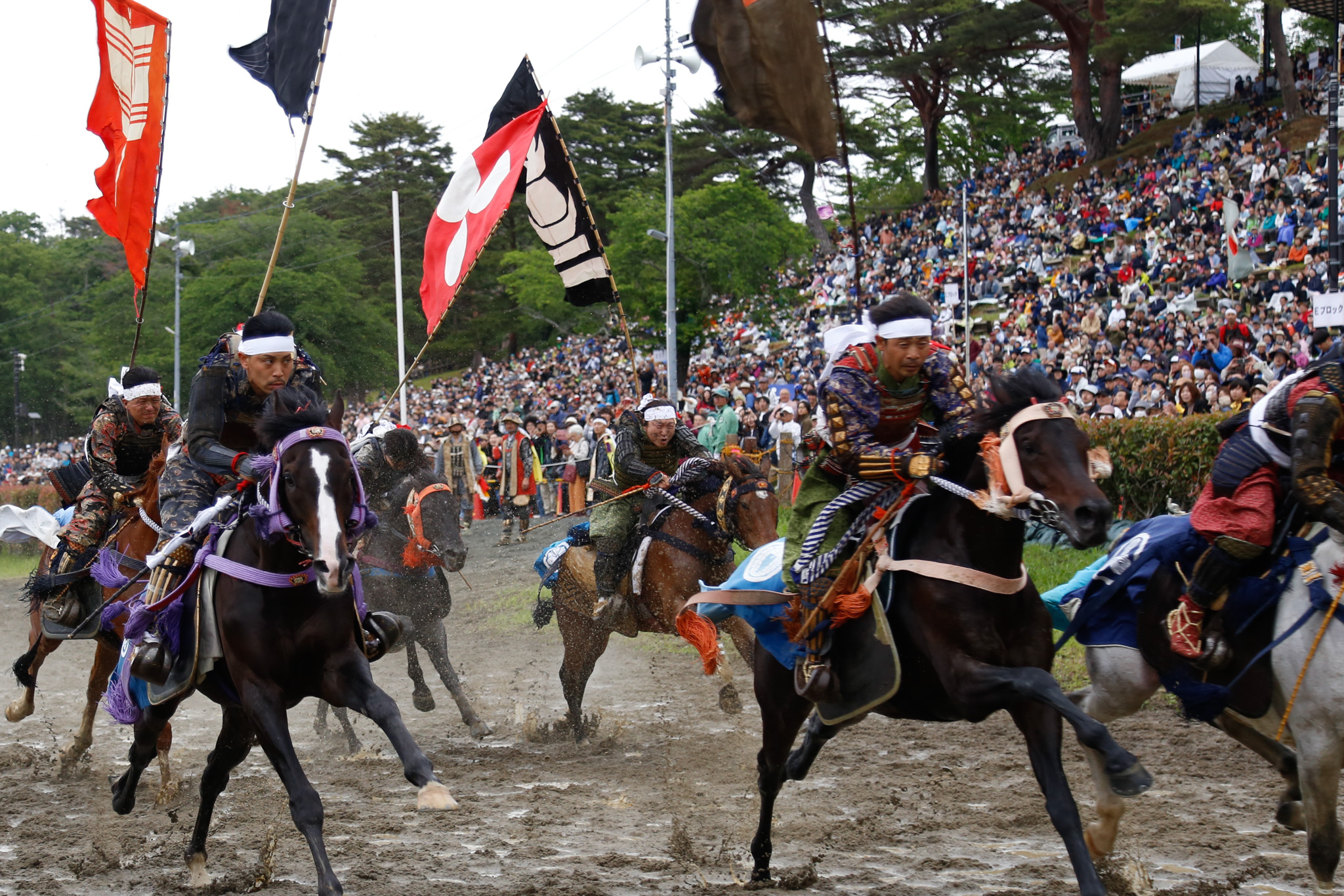 甲冑競馬に初出走した杉浦由悟さん（中央）