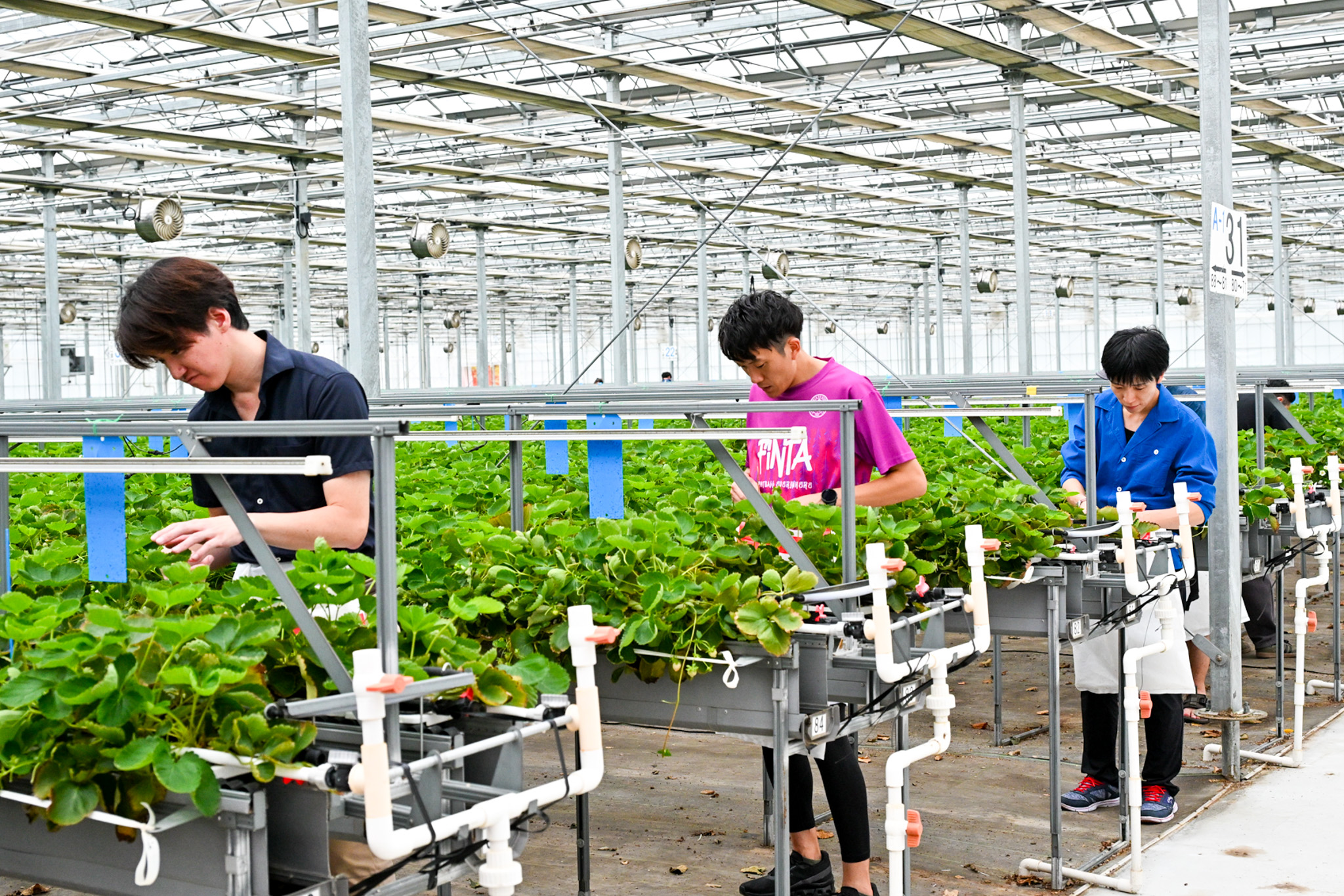 ネクサスファームでボランティア作業をする会員ら