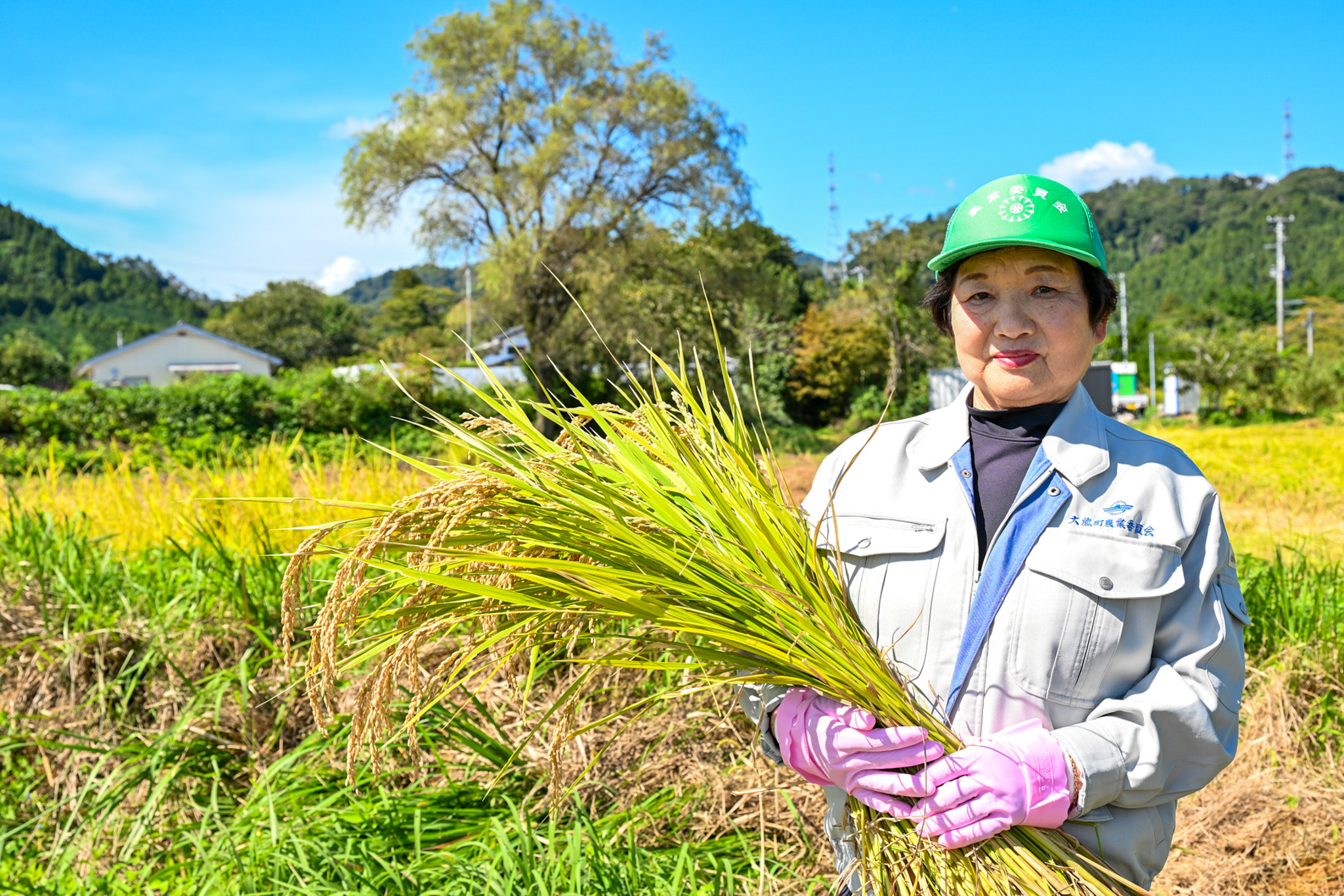 刈りたての稲を持つ根本会長