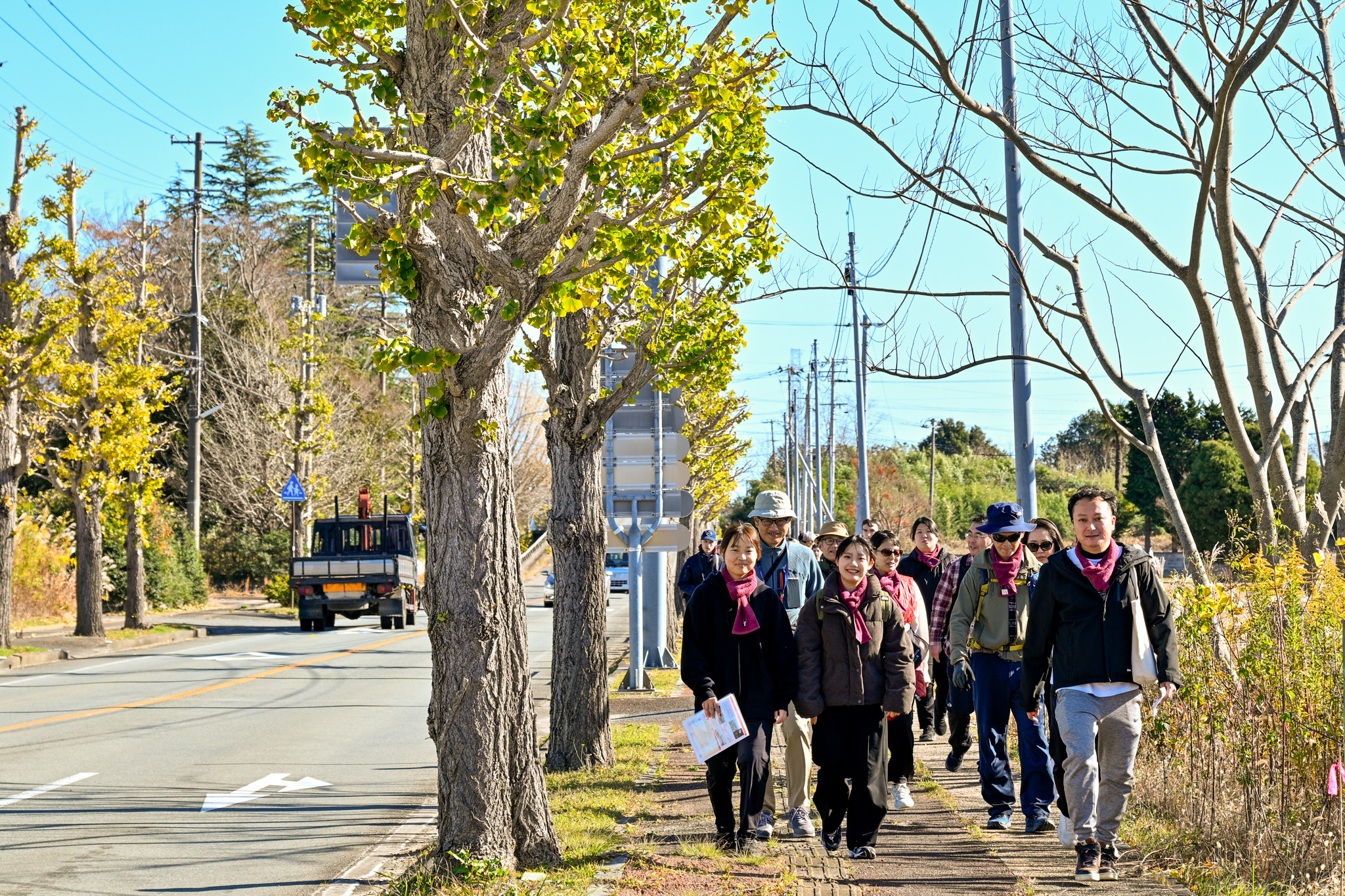 旧役場前のイチョウ並木の紅葉を楽しんだ参加者ら