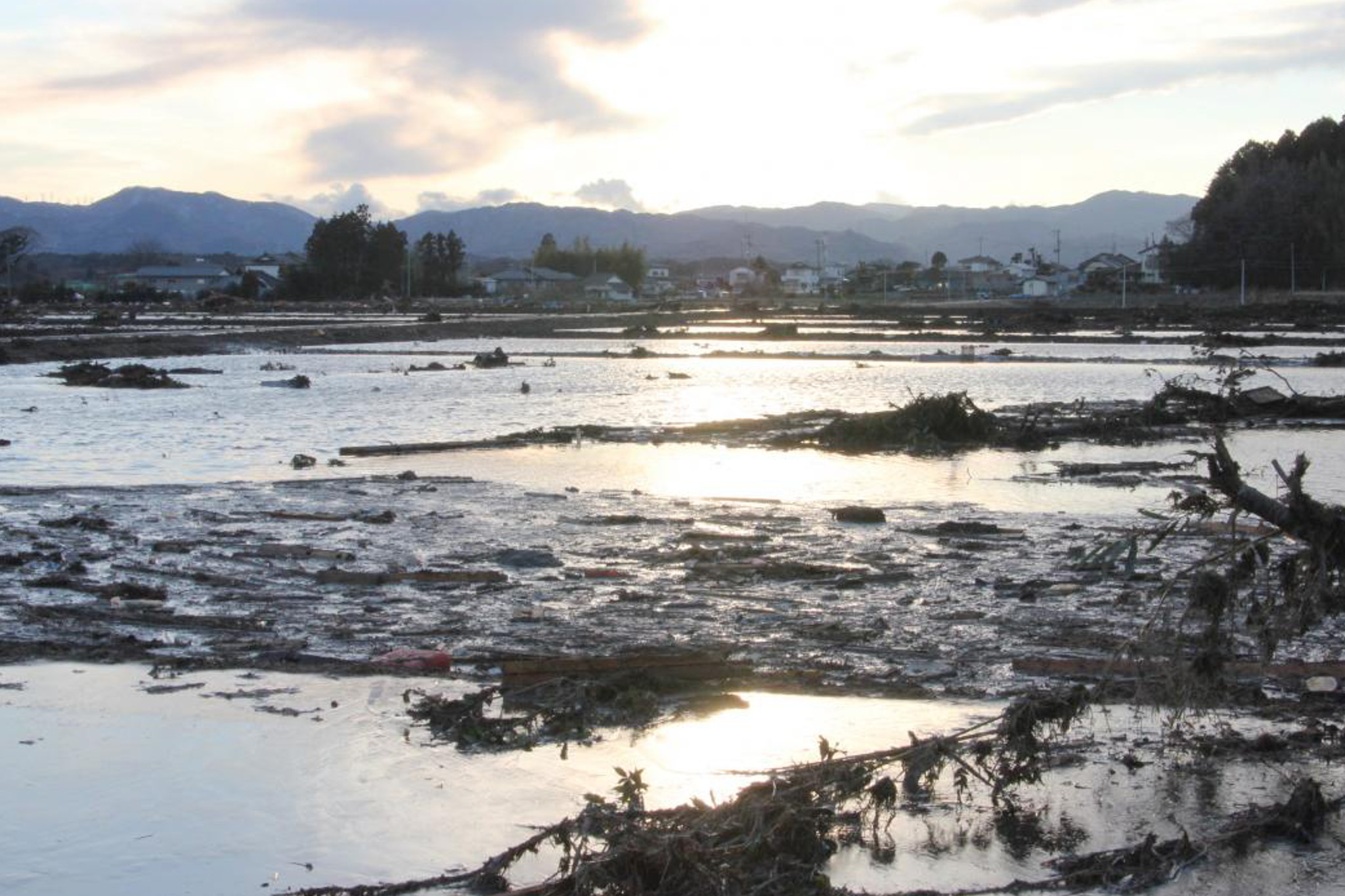 津波により水につかった田んぼが広がる光景