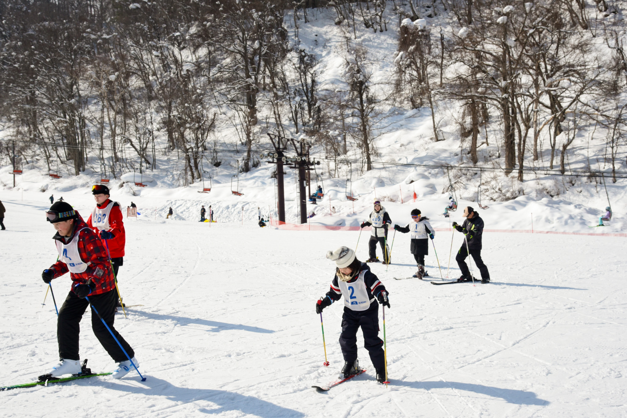 スキーに挑戦した参加者ら