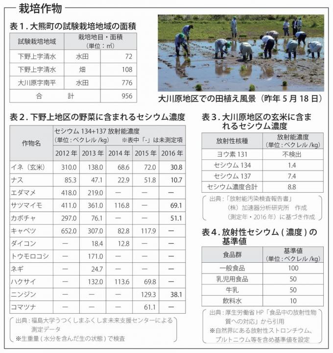 栽培作物の放射性物質の測定報告(表1は大熊町の試験栽培地域の面積、表2は下野上地区の野菜に含まれるセシウム濃度、表3は大川地区の玄米に含まれるセシウム濃度、表4は放射線セシウム濃度の基準値、写真は大川原地区での田植えの風景）