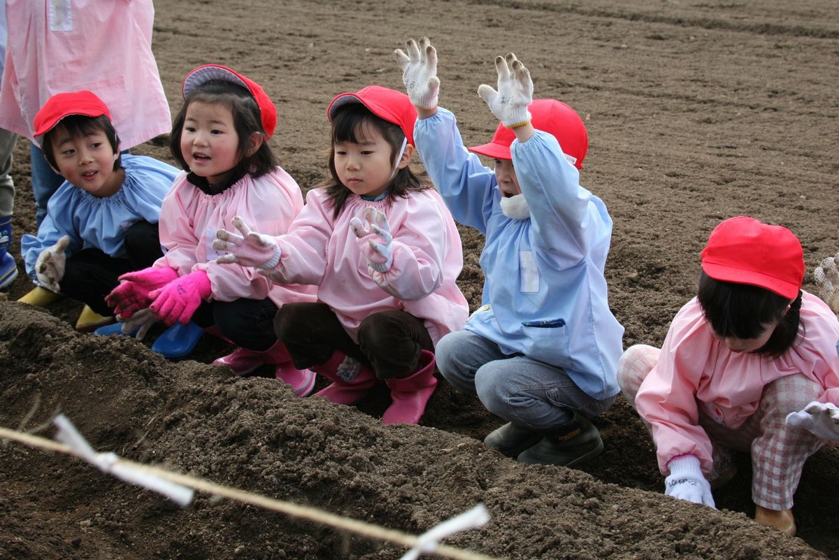 タネイモを植え付ける前、ワクワクした表情で作業開始を待つ園児たち