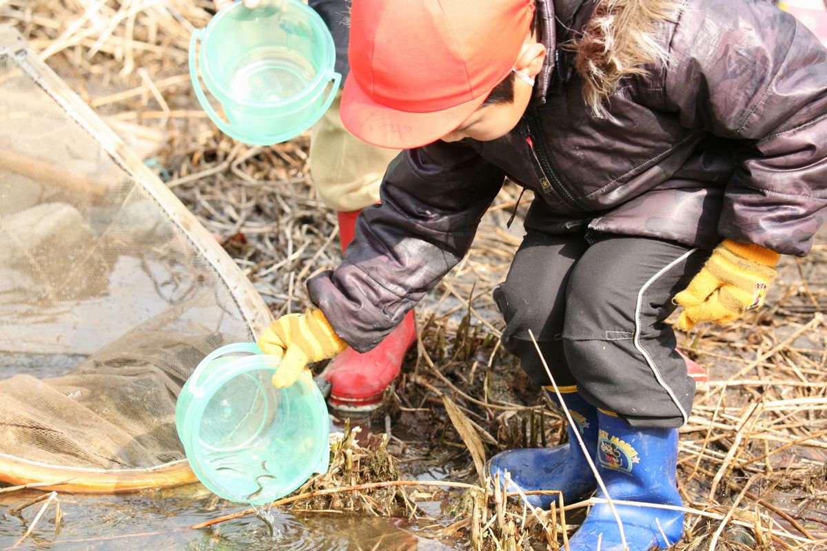 「大きくなって帰ってきてね」と願いを込めて、稚魚をそっと川に放流する園児