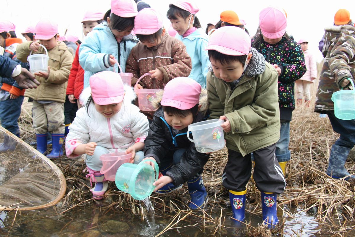 熊川幼稚園児約100人がサケ稚魚の放流にチャレンジしました