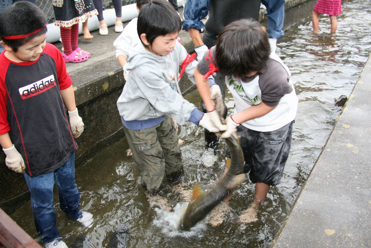 鮭のつかみ取りでとても大きな鮭を捕まえた子どもたち