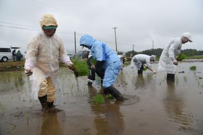 雨の中、苗を手植えする参加者