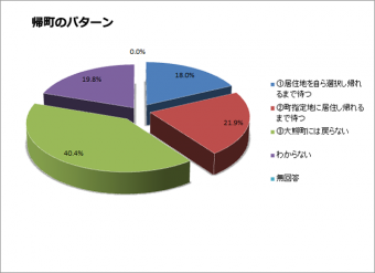 帰町パターン回答円グラフ