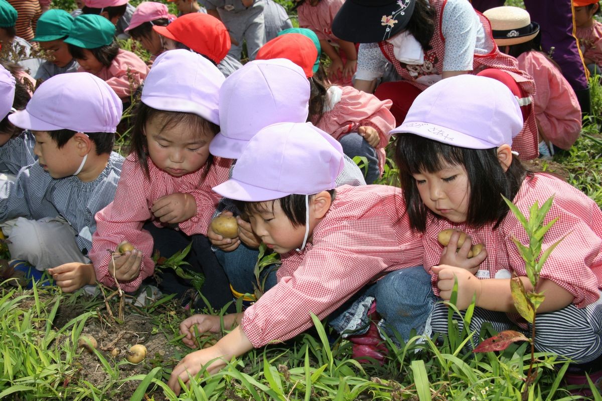 たくさんのジャガイモが採れ両手いっぱいに抱える園児たち