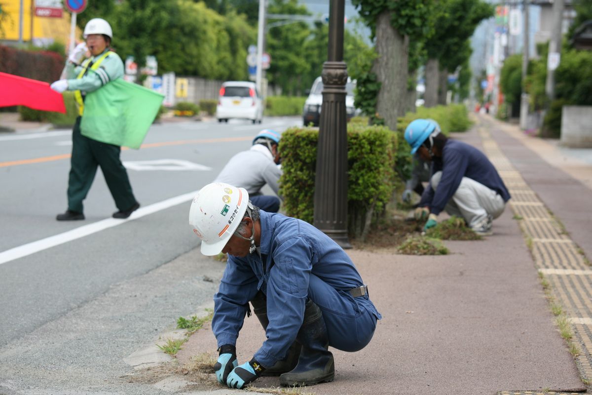 刈り込みの除草作業や歩道の草むしりをする参加者