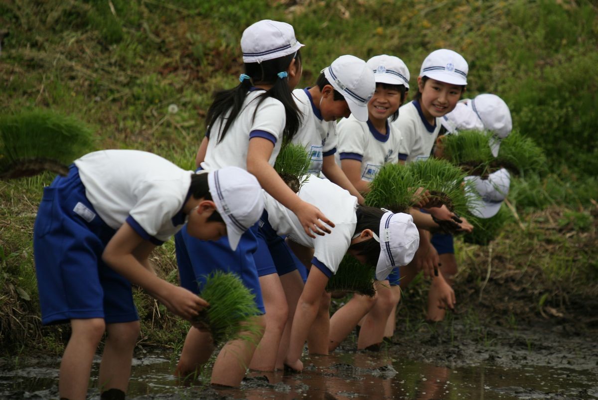 笑顔が溢れる楽しい田植え体験になりました