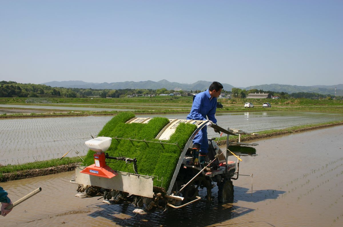 田植機に乗り、田植えに取り組む農家の方