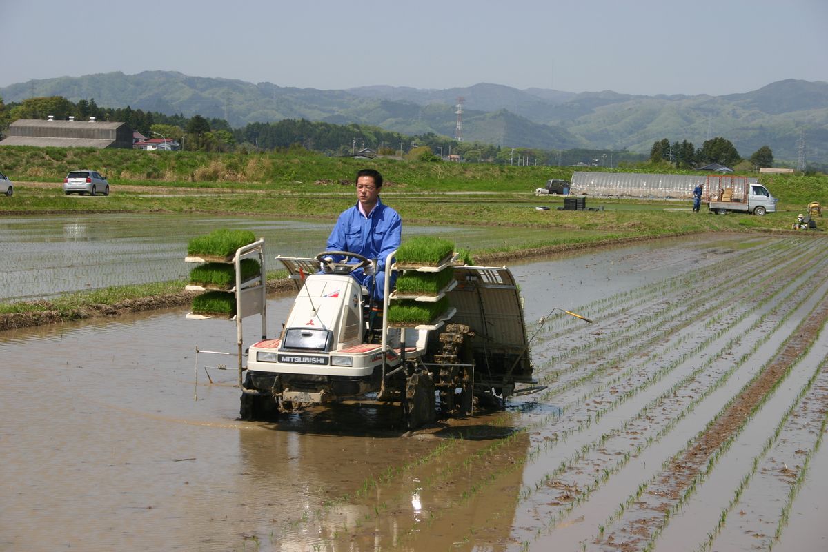 稲を乗せ田植え機で田んぼを進む農家の方