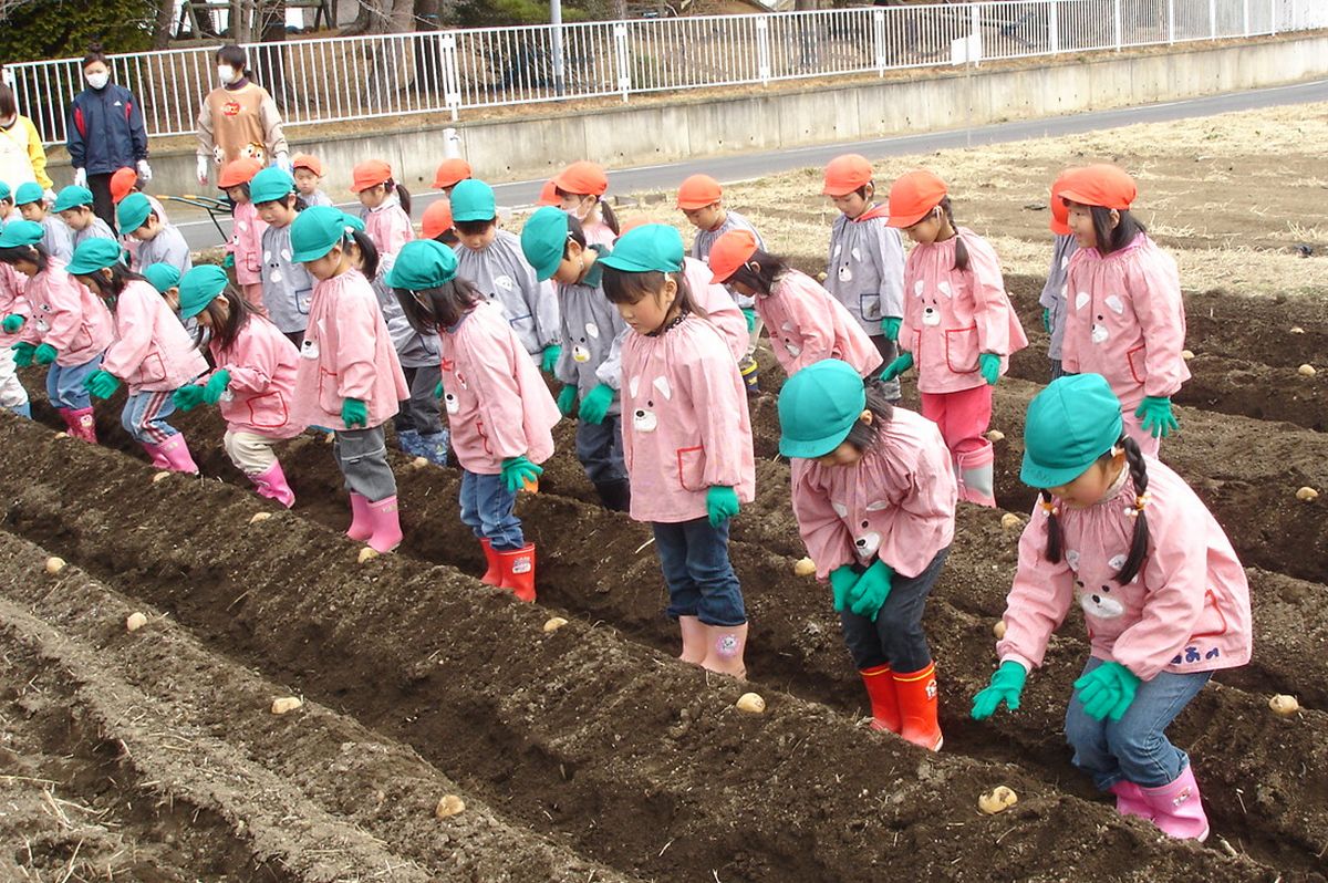 タネイモを植え付ける前、ワクワクした表情で作業開始を待つ園児たち