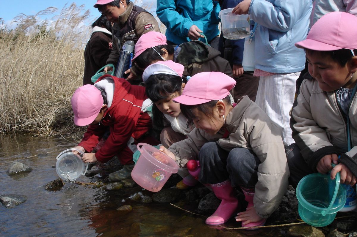 「大きくなって帰ってきてね」と願いを込めて、稚魚をそっと川に放流する園児