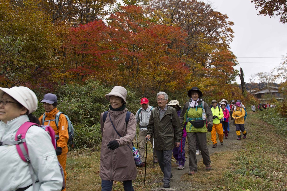 秋色に染まった山肌の草木や樹木を眺め、楽しみながら歩く参加者