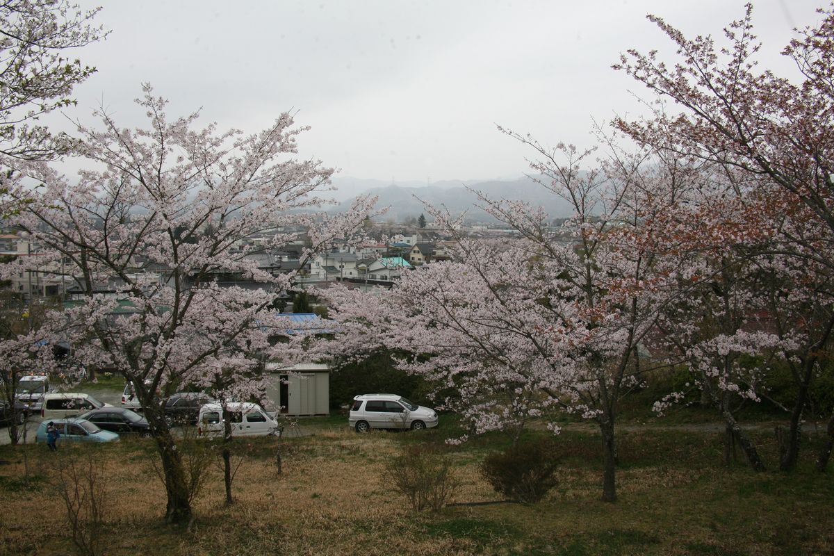聖徳太子神社から見た桜越しの大熊町