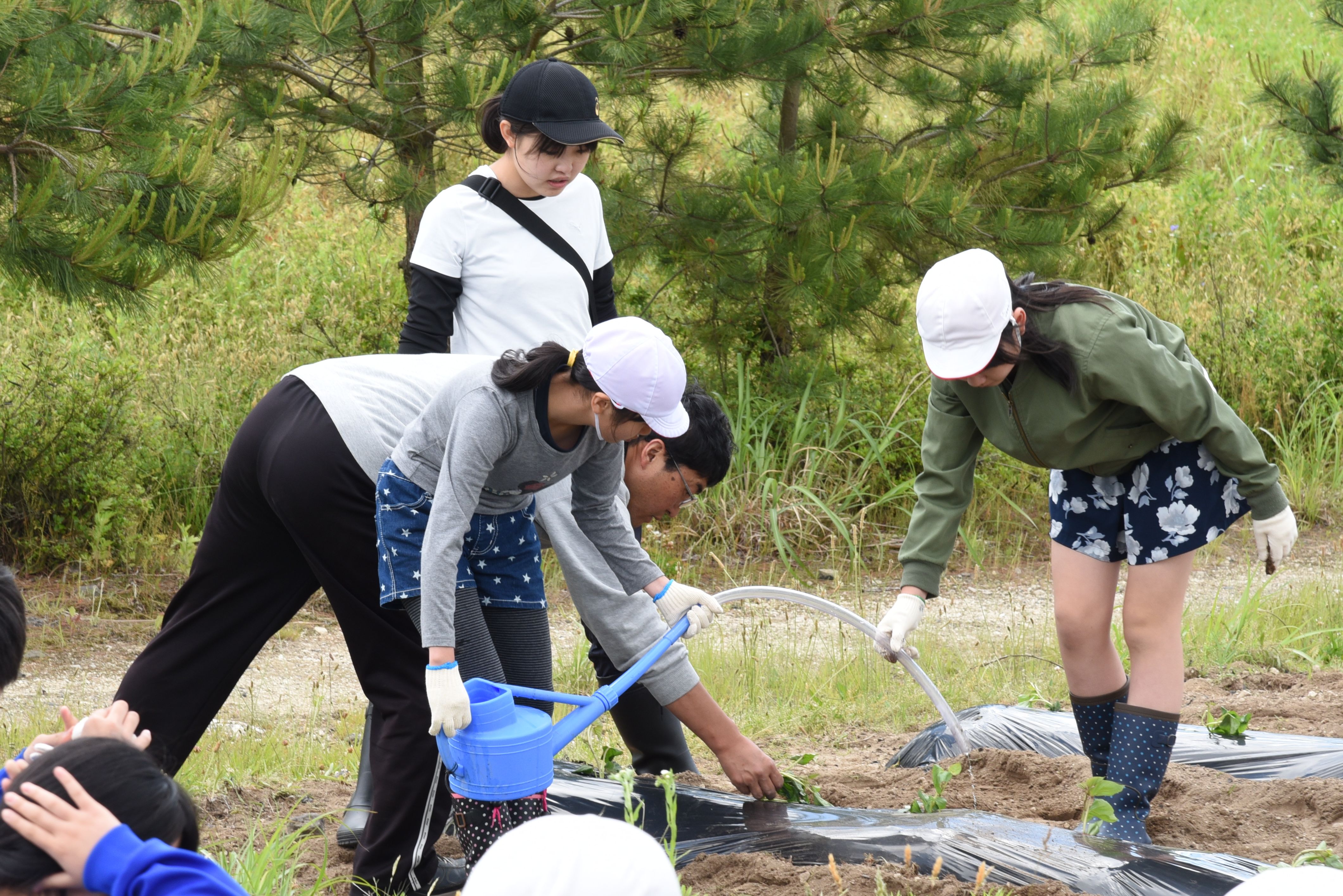 苗を植えた後、水やりをする子どもたち