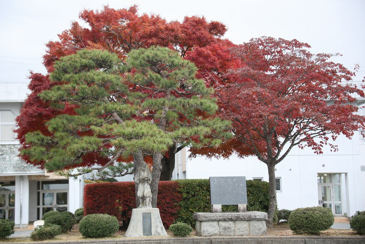 紅葉で赤と緑のコントラスト美しい大野小学校