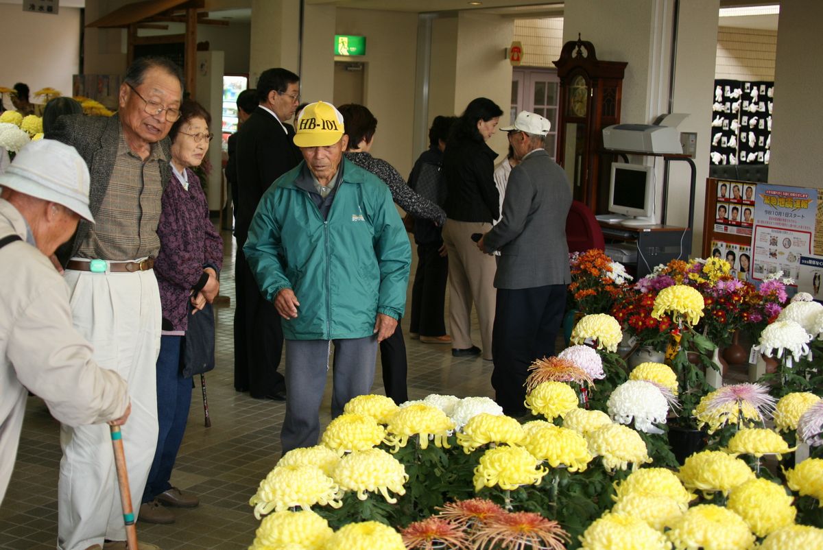 文化団体連合会文化部による見事な菊を観賞する来場者