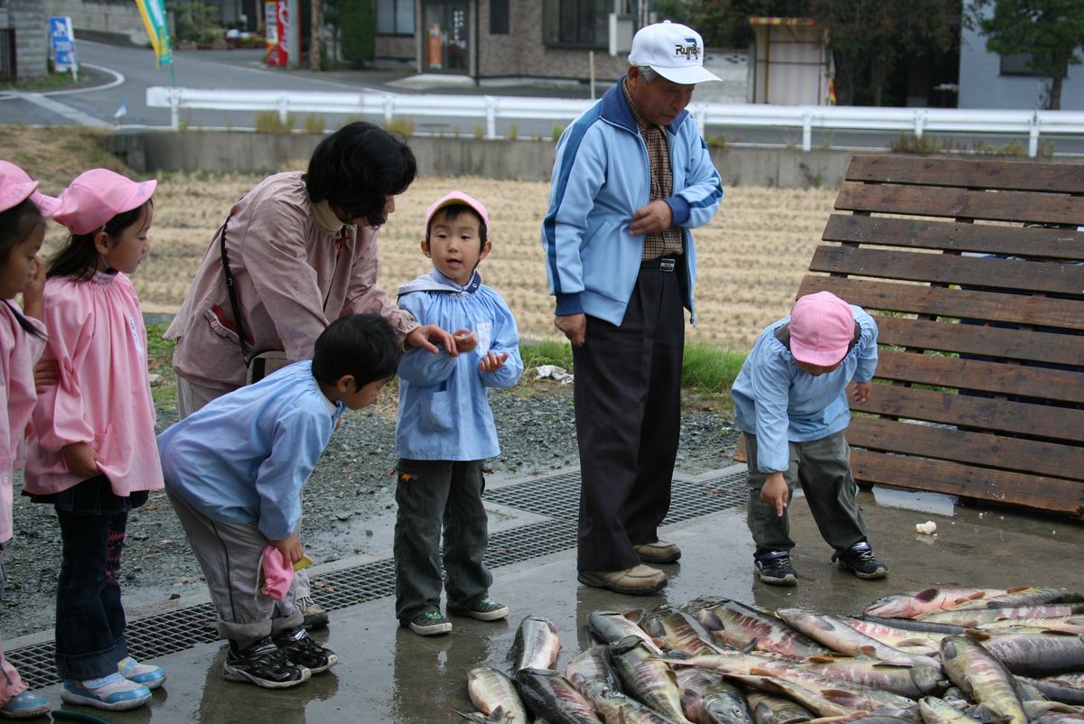 サケを指差し担任の先生や、漁協組合員の方にサケについての質問をする園児