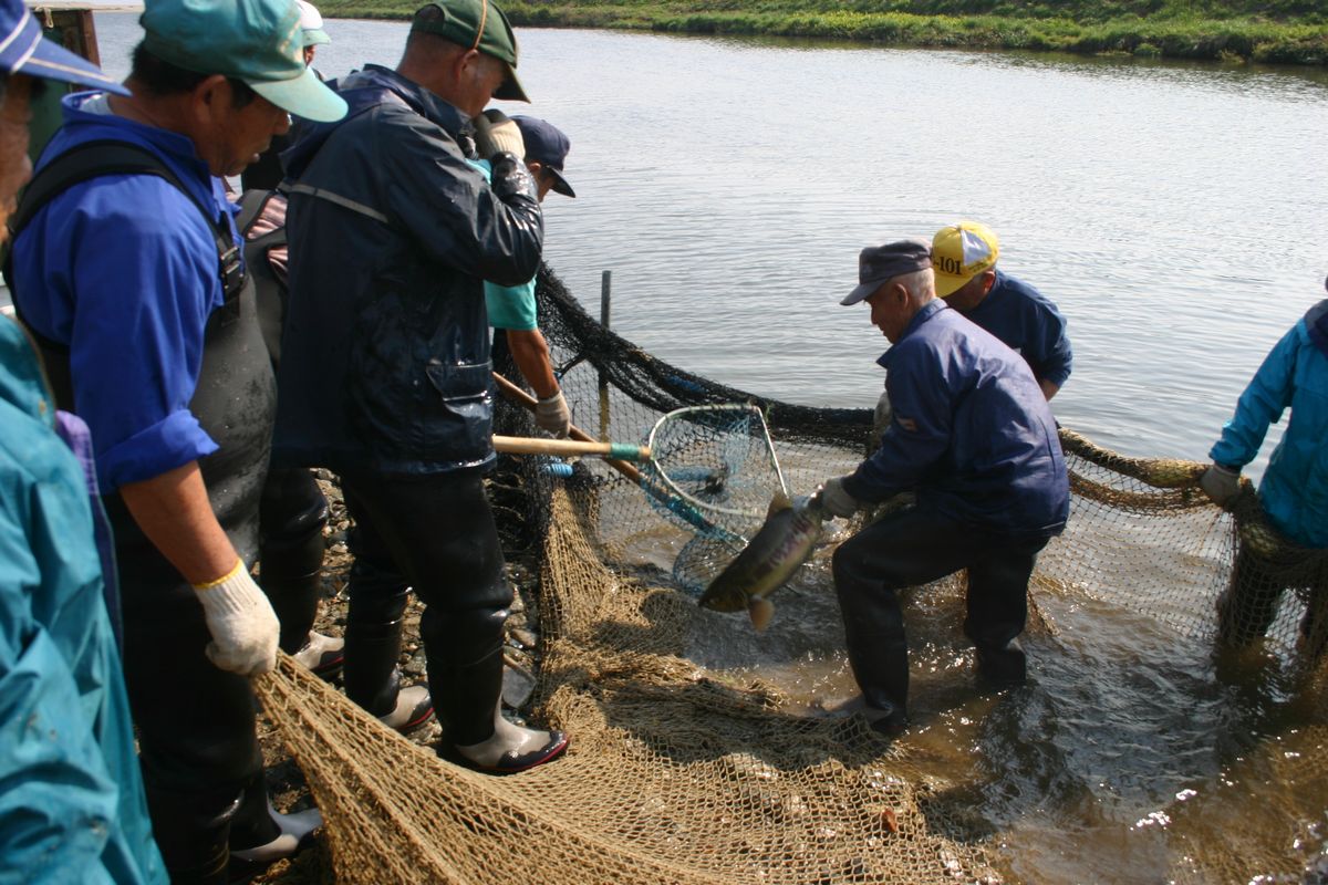 地引き網漁をする漁協の方たち