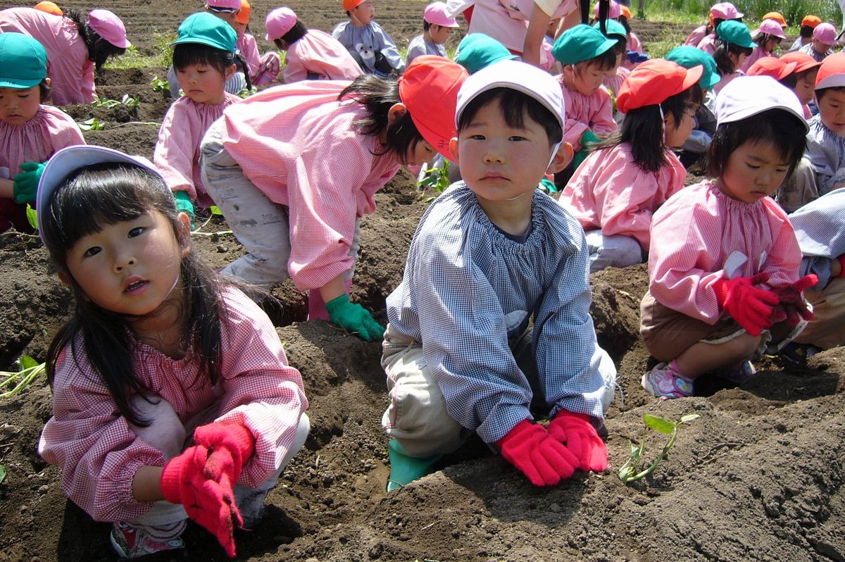 苗を植え、上からそっと土をかぶせる園児