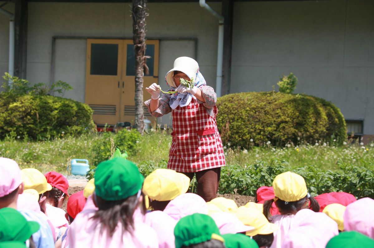 園児たちに植え方を説明する農家の方