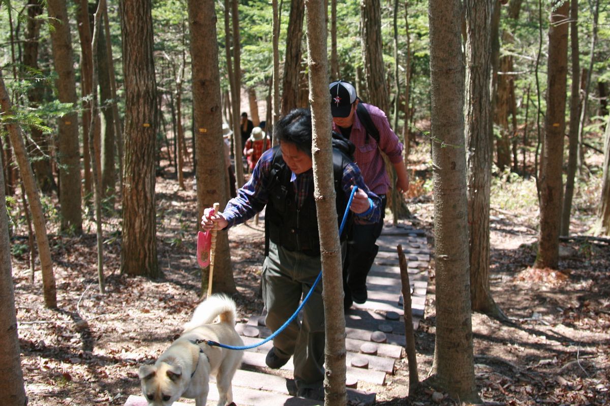 ペットの犬と一緒に登山を楽しむ参加者