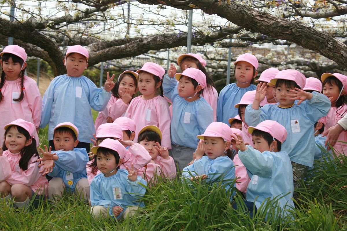 梨の花が咲き誇る梨畑で記念撮影をする園児たち