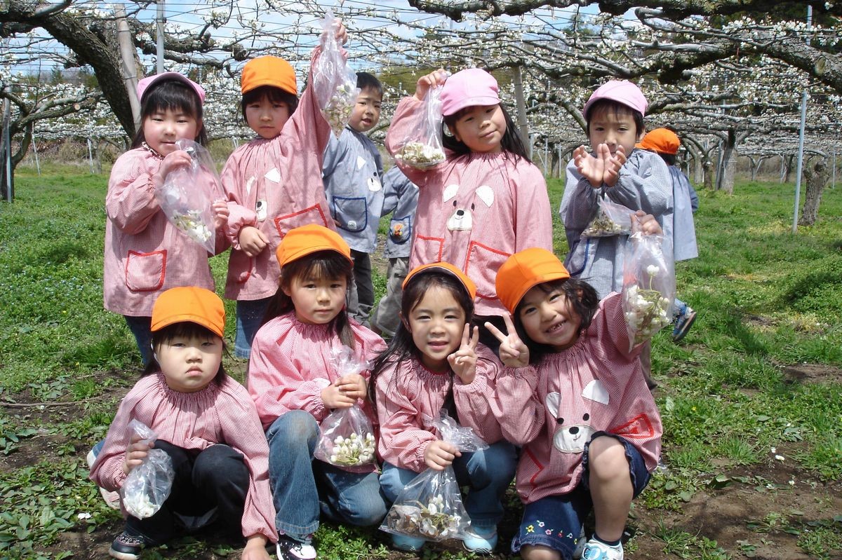 松本果樹園の梨の花が咲き誇る梨畑で記念撮影をする園児たち