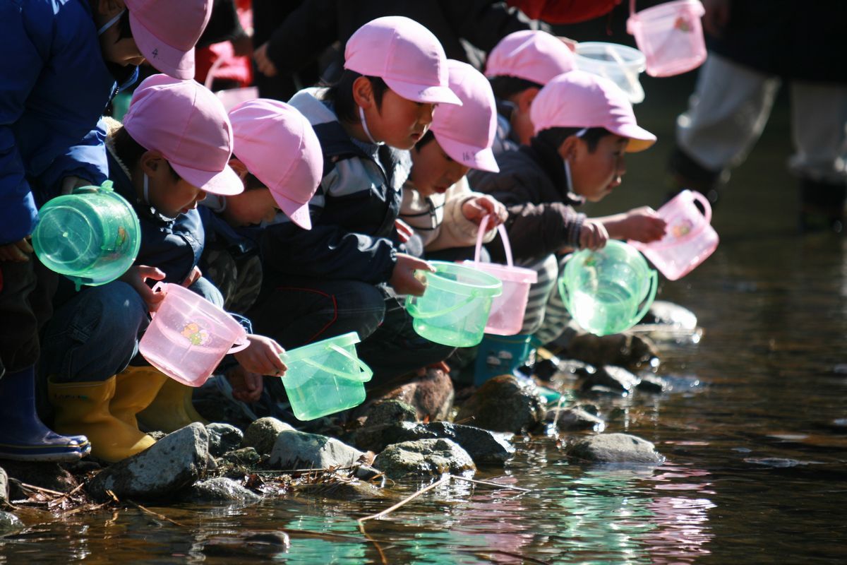 「大きくなって帰ってきてね」と願いを込めて、稚魚をそっと川に放流する園児