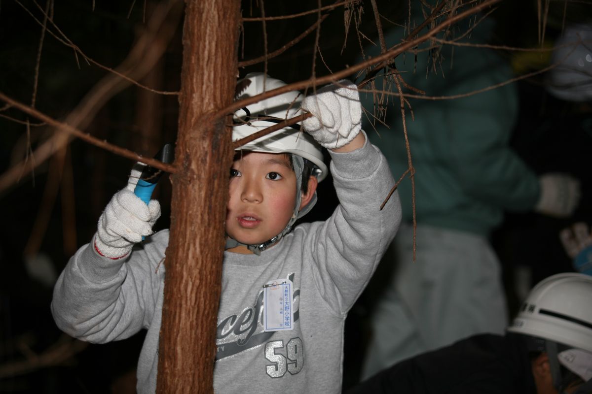 ヒノキ林で枝打ち作業に挑戦する児童
