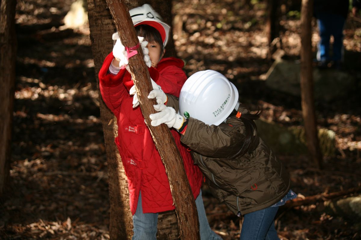 実際に森林に入り除伐作業を行う児童（3）
