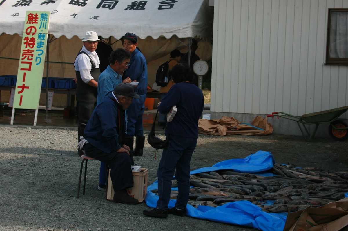 この日の朝捕獲された新鮮な生鮭の即売会