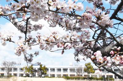 大野小学校