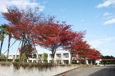 大野小学校校庭から見る校舎 2005年11月7日撮影