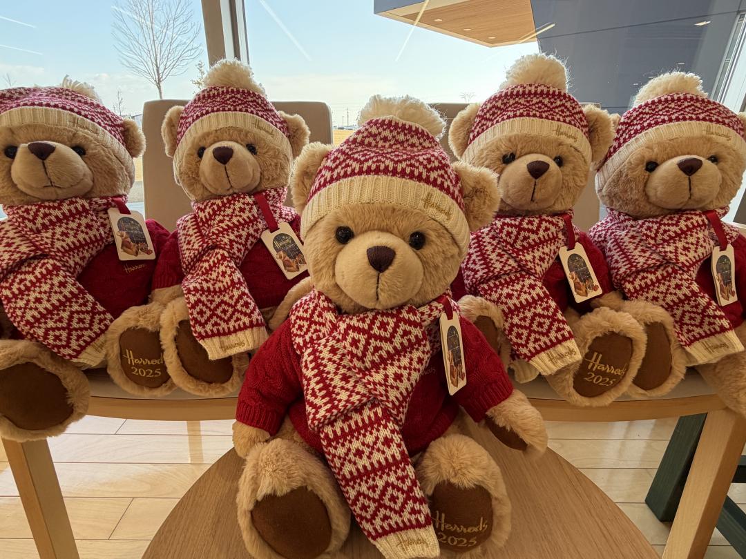 くまのぬいぐるみの画像