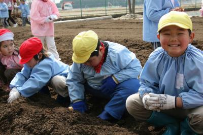 畑にタネイモを植え付け満足そうな笑顔を見せる園児