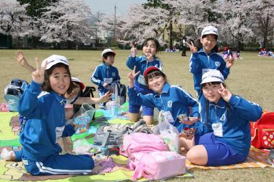 桜満開の広場でお弁当を食べる児童たち