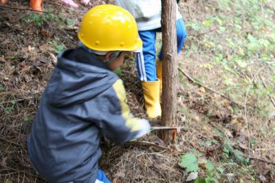 双葉地方森林組合の職員の指導で「間伐作業」を体験する児童