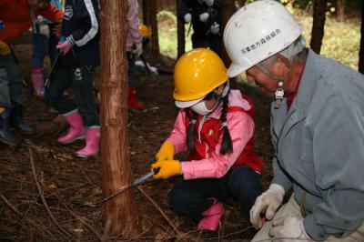 双葉地方森林組合の職員の指導で「間伐作業」を体験する児童
