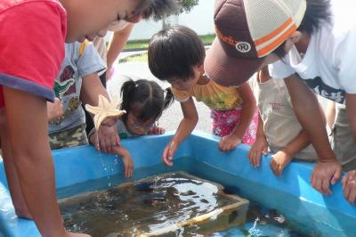 水の生き物を興味深く手に取る子どもたち