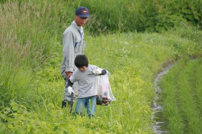 おじいちゃんと一緒にゴミ拾いをする男の子